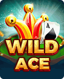 Wild Ace — Slots game in the P77 app